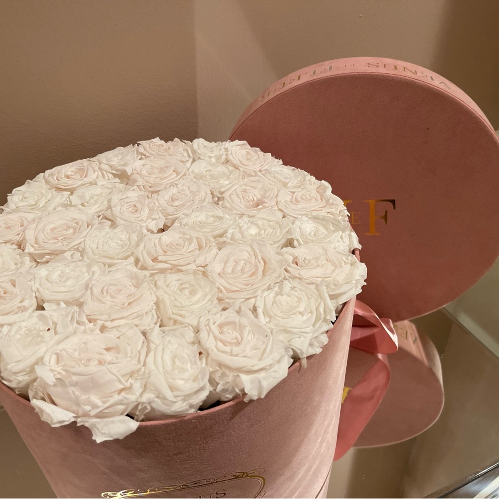 Pink Velvet Round Rose Box with White Roses - Picture 2 of 5